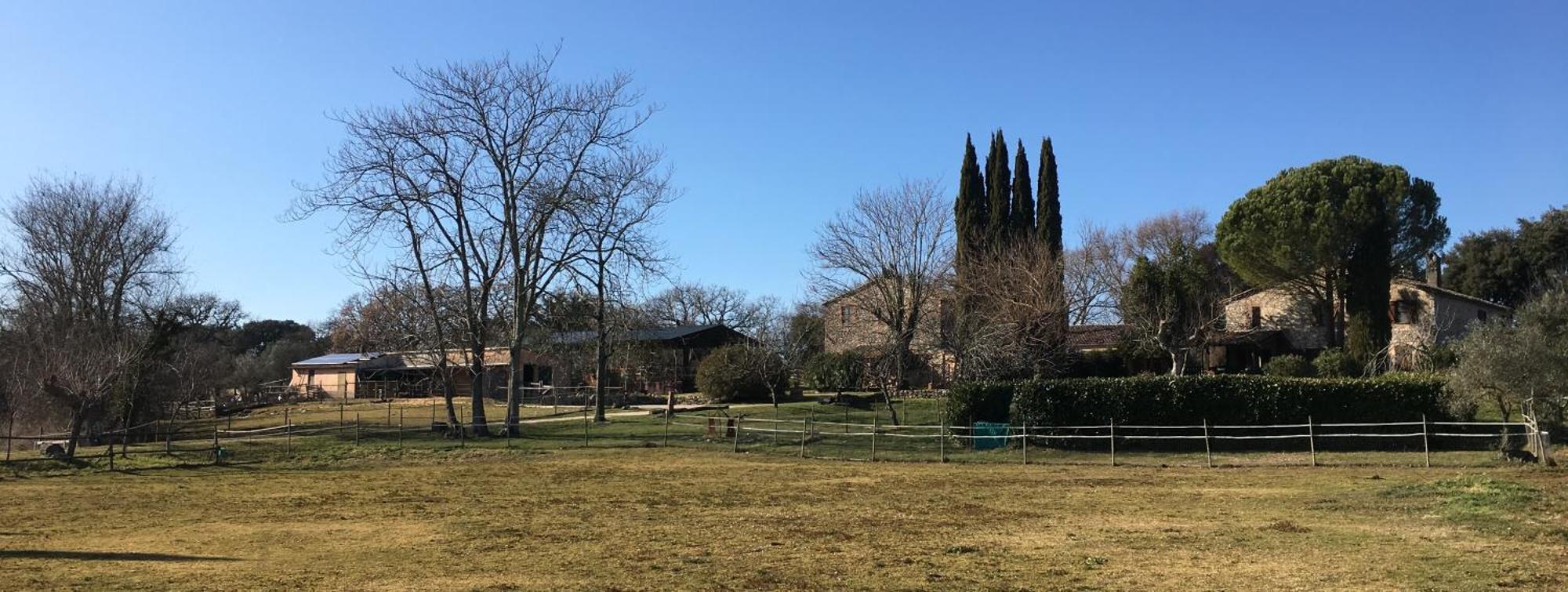 Podere Conte Racani Amelia Eksteriør billede