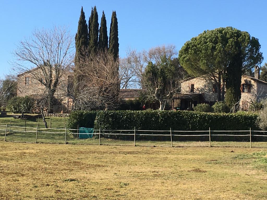 Podere Conte Racani Amelia Eksteriør billede
