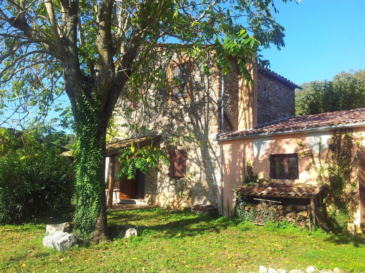Podere Conte Racani Amelia Værelse billede